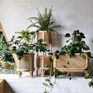 Rattan Plant Stand